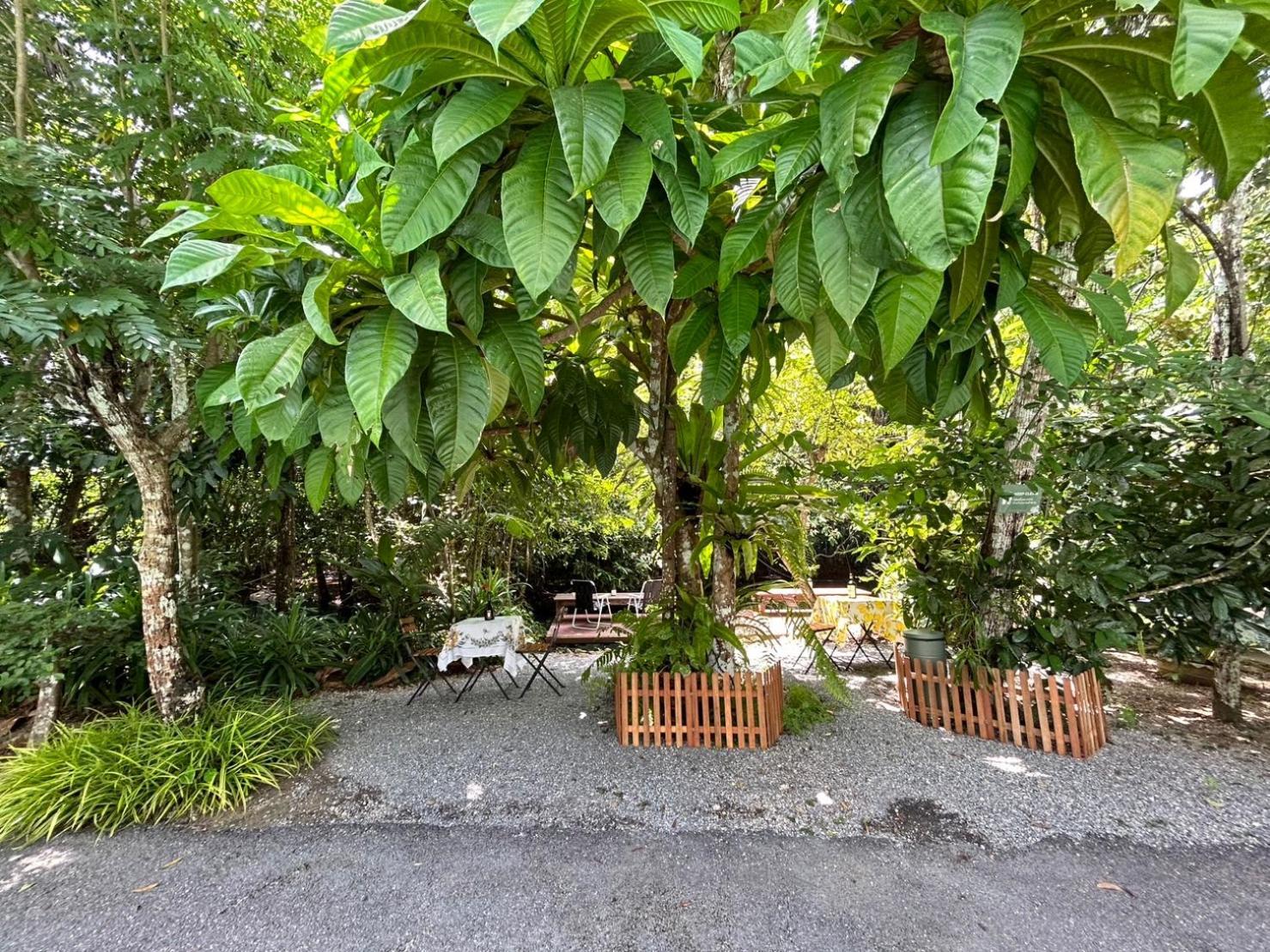 Blu Monkey Pooltara Krabi Hotel & Villas Pet Friendly المظهر الخارجي الصورة